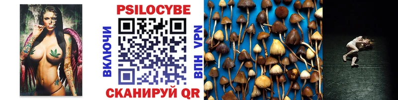 Купить где  Хилок  Псилоцибиновые грибы Psilocybine cubensis 