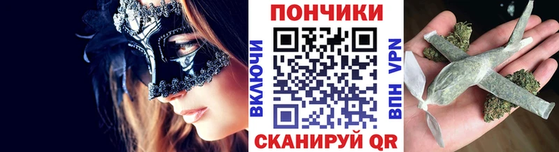 Бошки марихуана Amnesia  Купить закладки  Хилок 